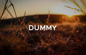 ダミー
