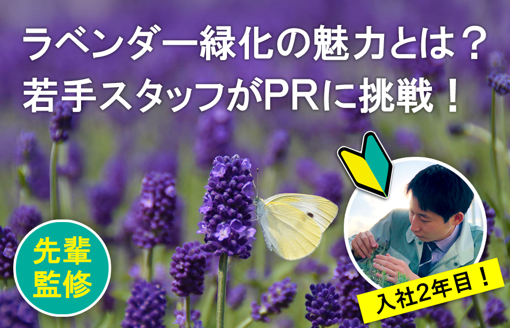 ラベンダー緑化の魅力とは 若手スタッフがprに挑戦 先輩監修 屋上緑化やエコ 防災対策を検討するなら川田工業 川田工業株式会社 環境関連事業